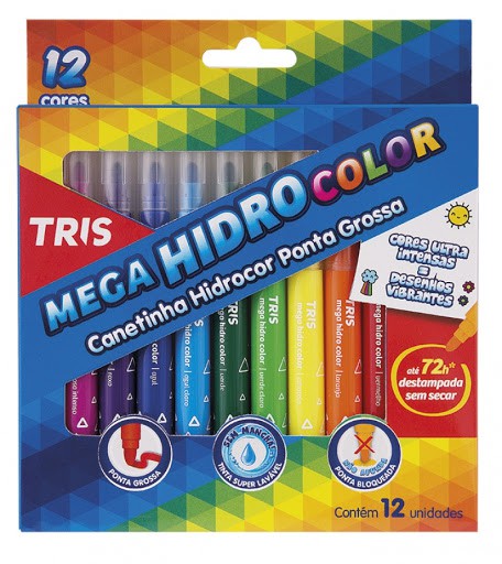 CANETA PONTA GROSSA HIDROCOR C/12 CORES RETRATIL TRIS