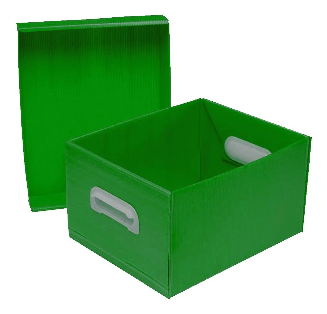 CAIXA ORGANIZADORA THE BESTBOX CORES POLIB VERDE
