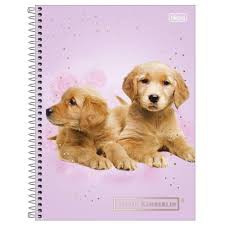 CADERNO UNIVERSITÁRIO TILIBRA 10X1 200F C.D KEITH KIMB CP2