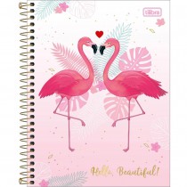 CADERNO UNIVERSITÁRIO CD 10X1 160F ALOHA CP1
