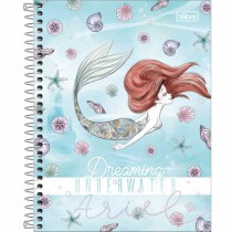 CADERNO COLEGIAL CD 10X1 160F ARIEL CP1