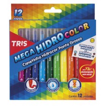 CANETA PONTA GROSSA HIDROCOR C/12 CORES RETRATIL TRIS