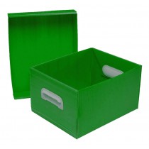 CAIXA ORGANIZADORA THE BESTBOX CORES POLIB VERDE