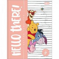 CADERNO CD BROCH 1/4 POOH