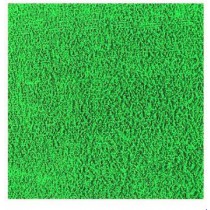 EVA ATOALHADO PLUSH VERDE 40X48