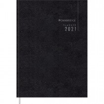 AGENDA EXECUTIVO EXTRA 2021