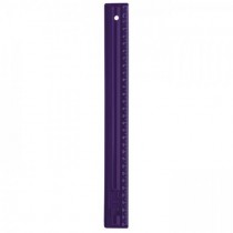 REGUA DELLO 30CM ROXO