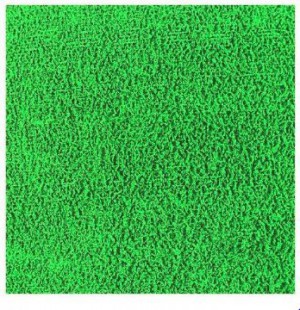 EVA ATOALHADO PLUSH VERDE 40X48