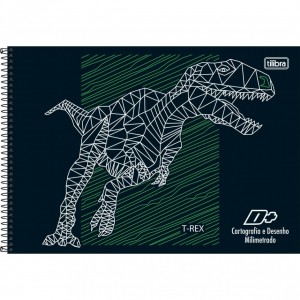CADERNO DE CARTOGRAFIA E DESENHO CD S/S D+ TILIBRA